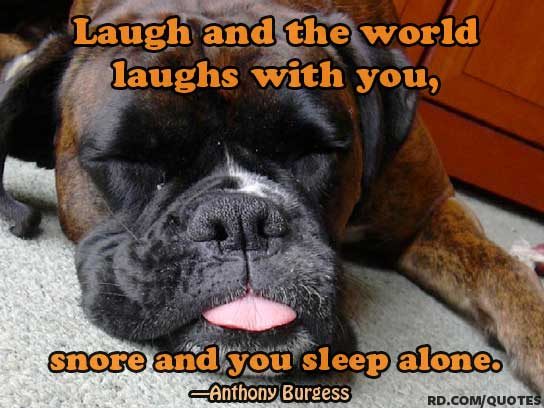Funny Sleep Quotes Anthony Burgess