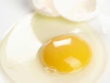 What is egg yolk made of?