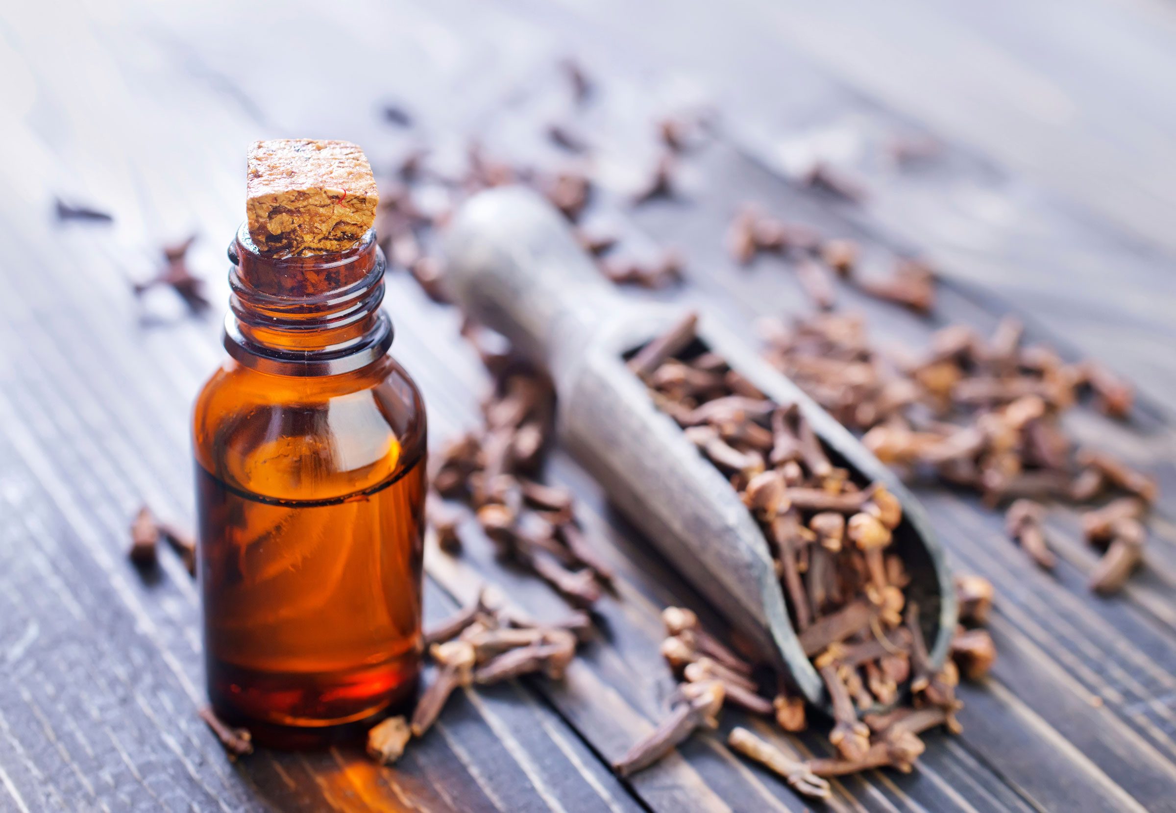 Toothache remedy: Clove oil 