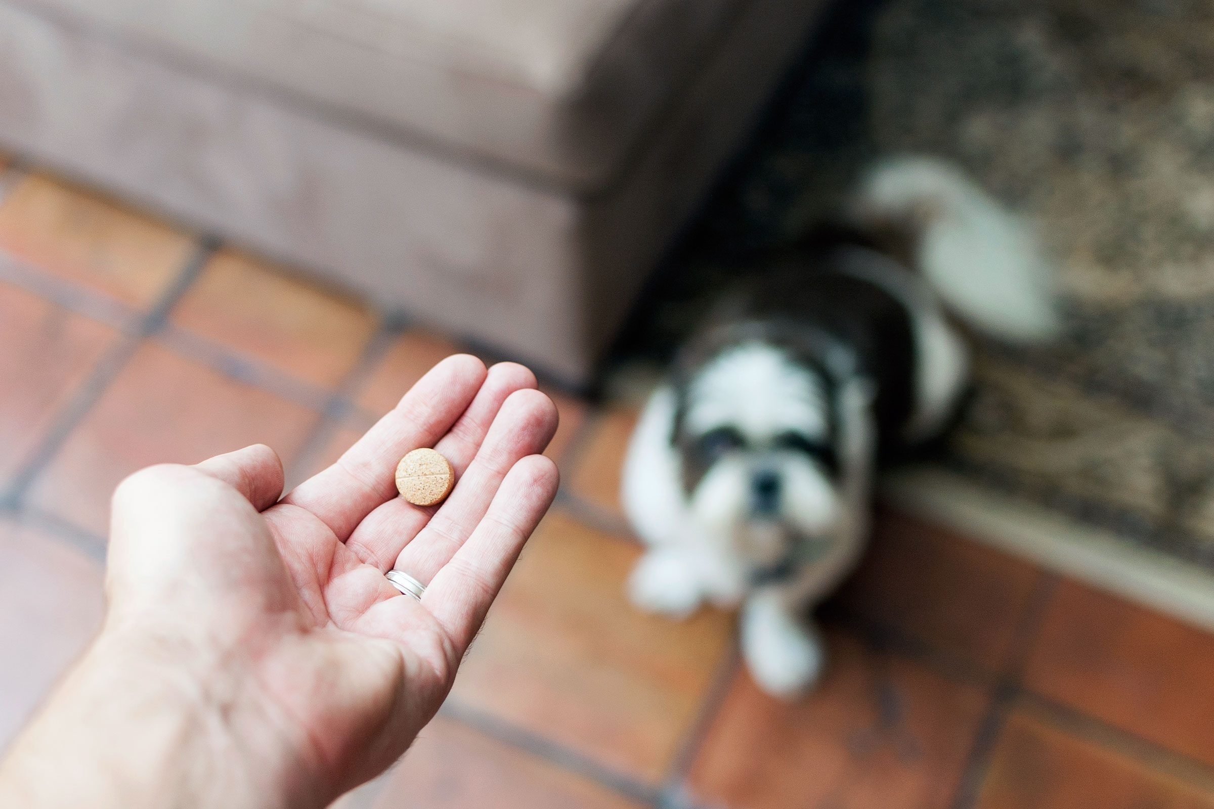 What are some types of oral medications for pet euthanasia?