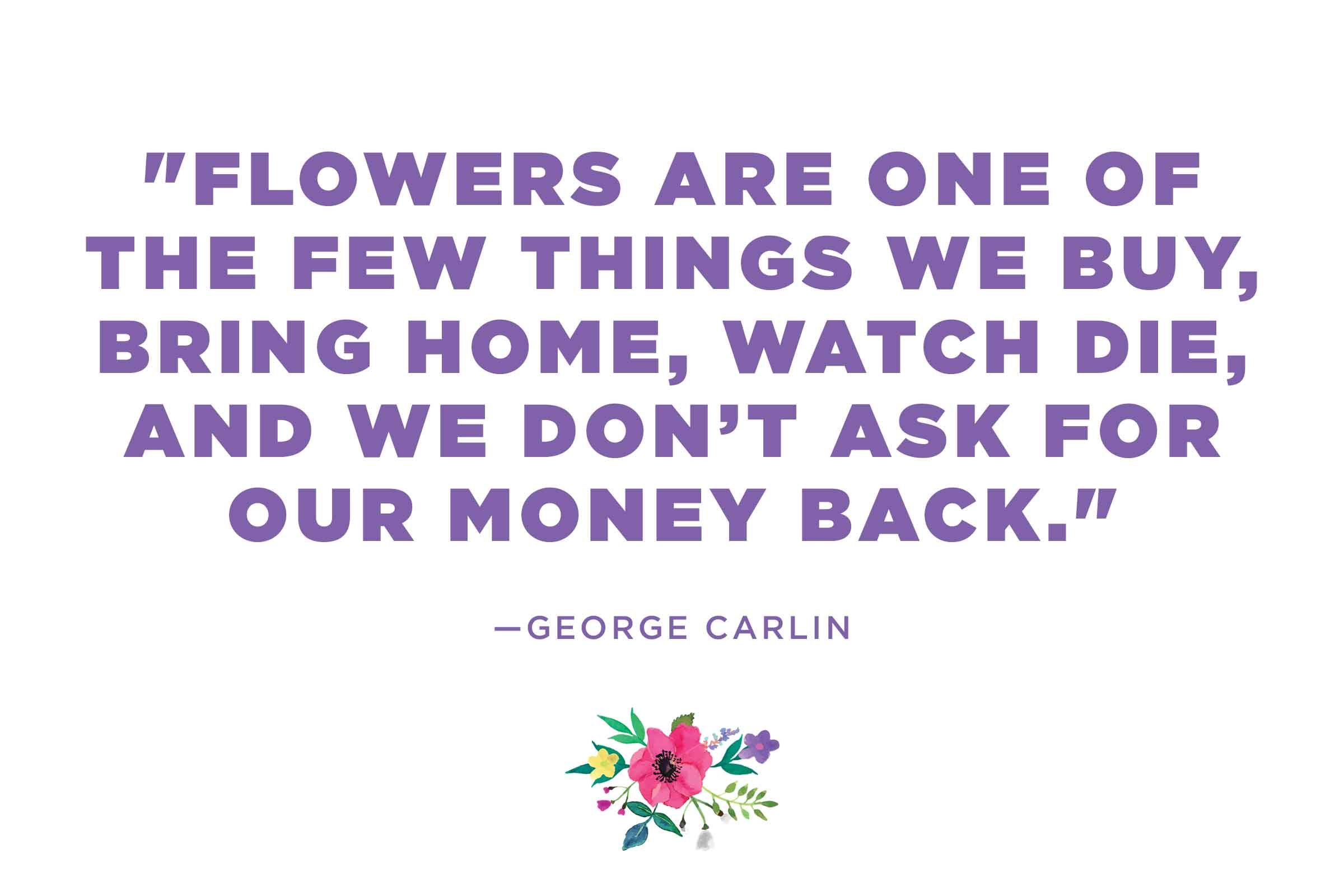 George Carlin on the flower paradox
