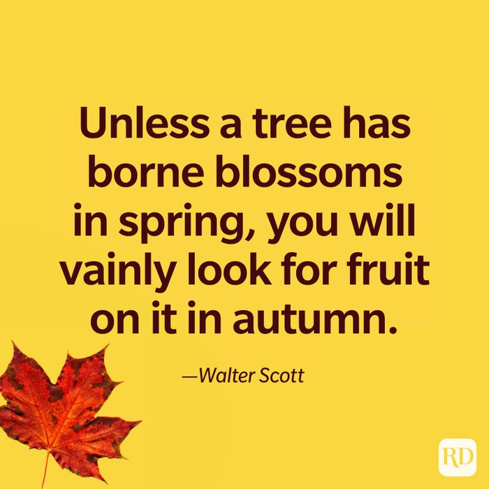 Fall Quote 54