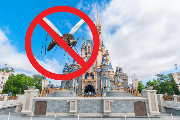 This Is Why You Never See Mosquitos At Disney World