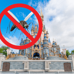 This Is Why You Never See Mosquitoes at Disney World