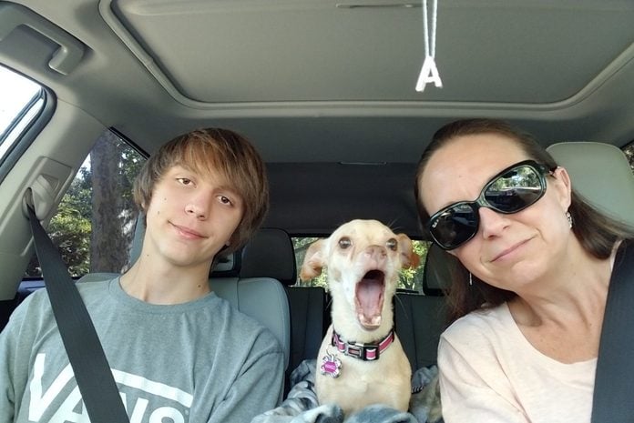 Mom and son in car with yawning puppy