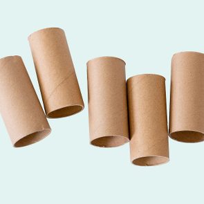 cardboard tubes toilet paper tube DIY