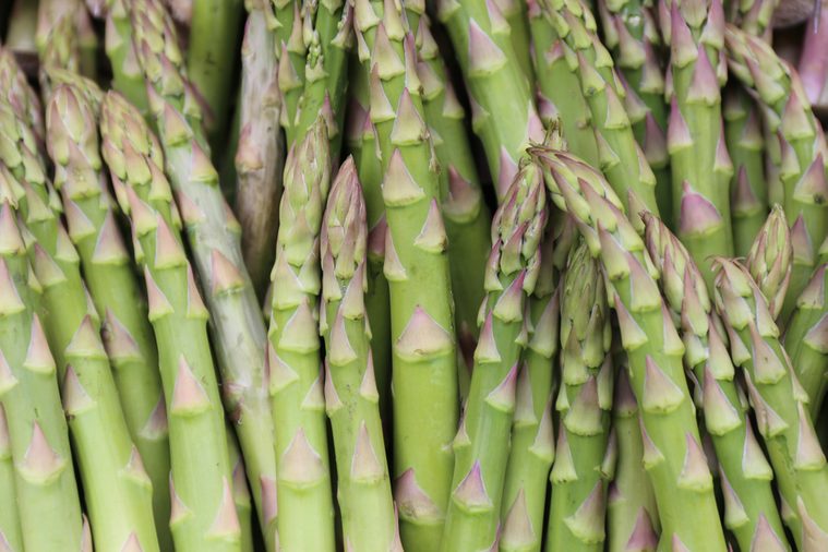 Close up outdoor view of asparagus tips rows. Picture taken in a french market during spring. Pattern of green, yellow and purple thin vegetable elements. Abstract natural image. Rough texture.