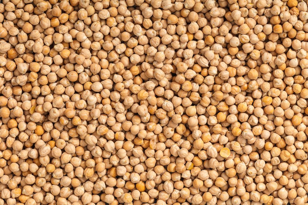 food background from a texture of raw chickpeas close-up