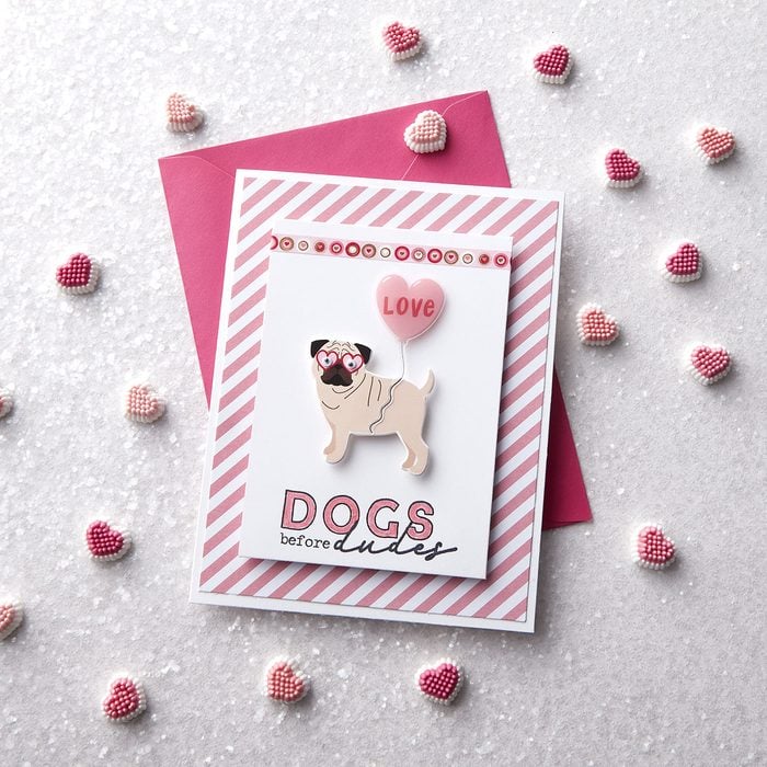 Dogs Before Dudes Valentines Day Card