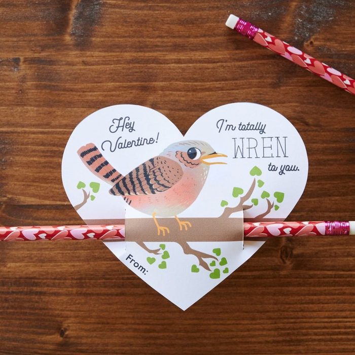 Pencil Bird Valentines Day Card