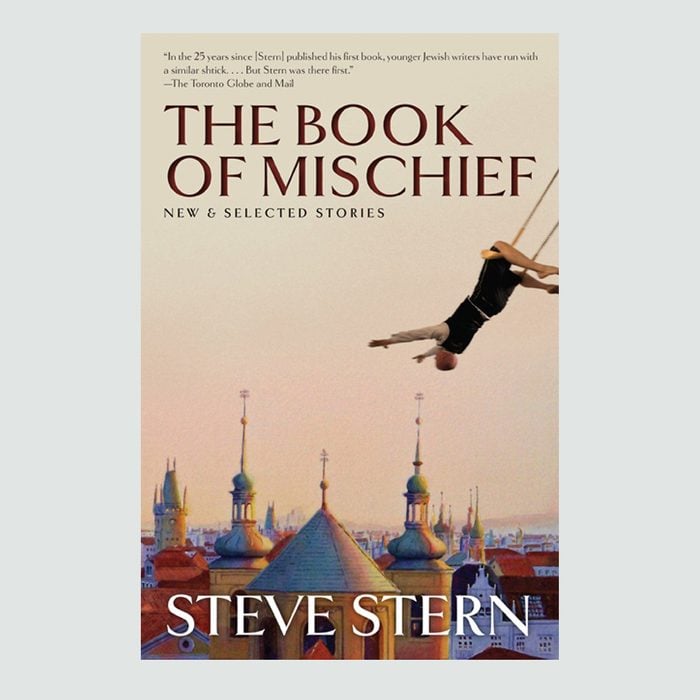 Steve Stern author
