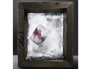 picture frozen in ice