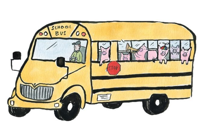 illustration of a school bus with pigs as passengers