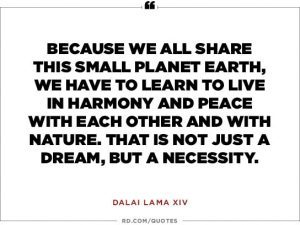Dalai Lama Quotes That Inspire | Reader's Digest