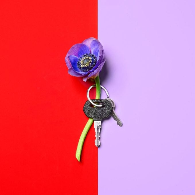 a flower and a car key on a bright background