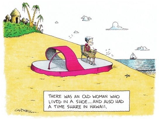 cartoons hawaii