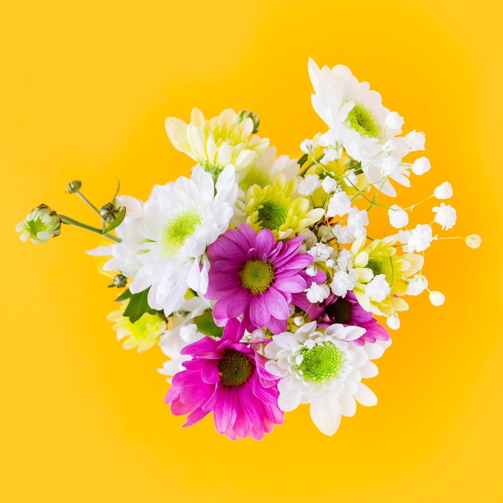 top view of a mixture of Cut Flowers on a yellow background