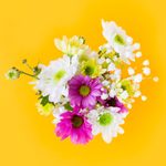10+ Pro Tricks to Make Flowers Last Longer