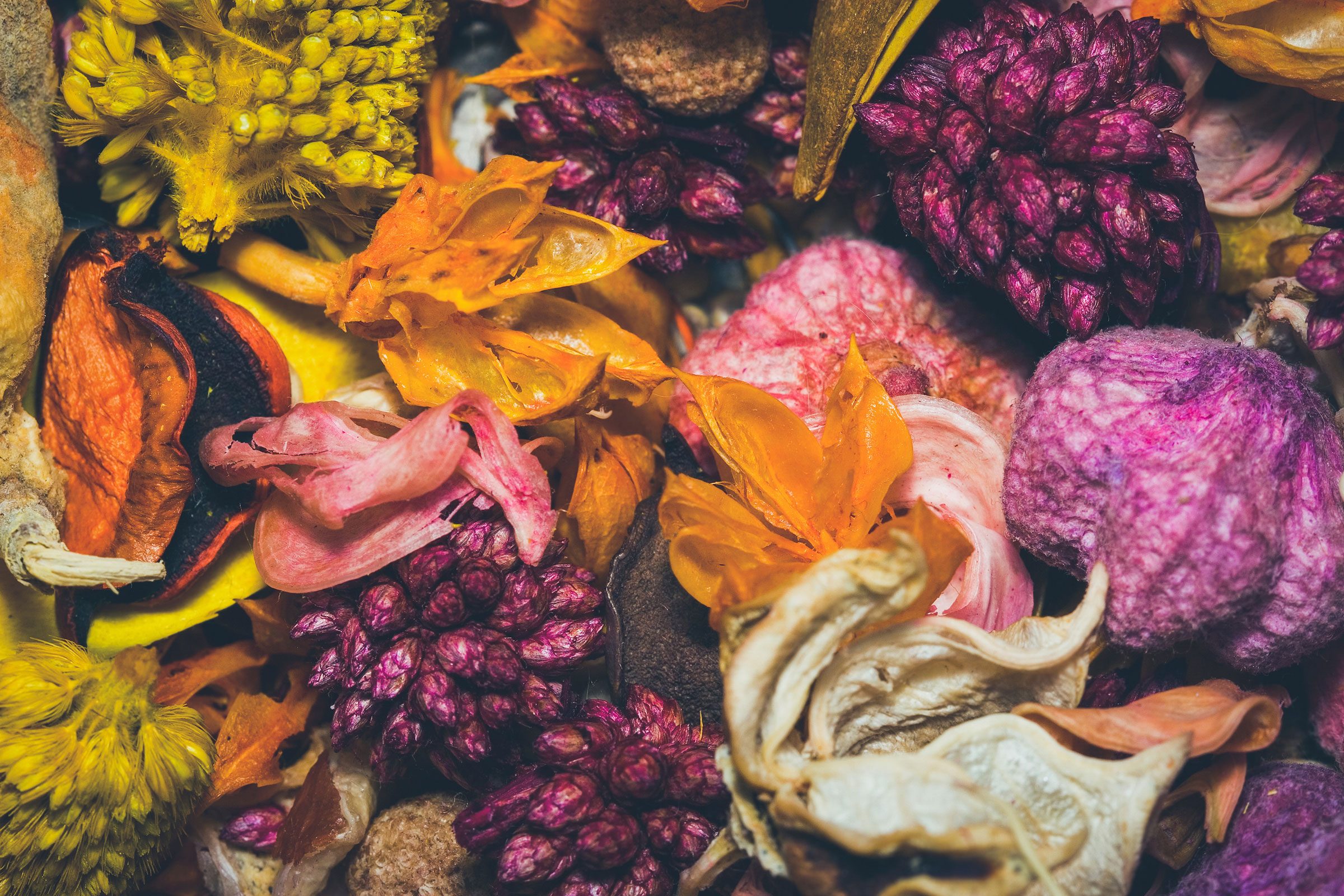 How to Frame Dried Flowers, According to a Pro Florist