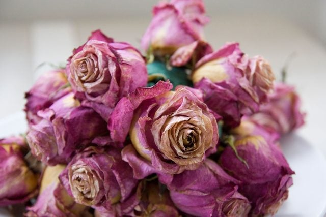 How to Dry Flowers: Awesome Ways to Preserve a Bouquet