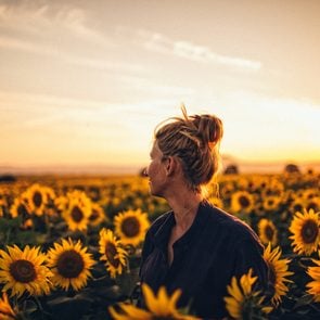 inspirational poems sunflower field