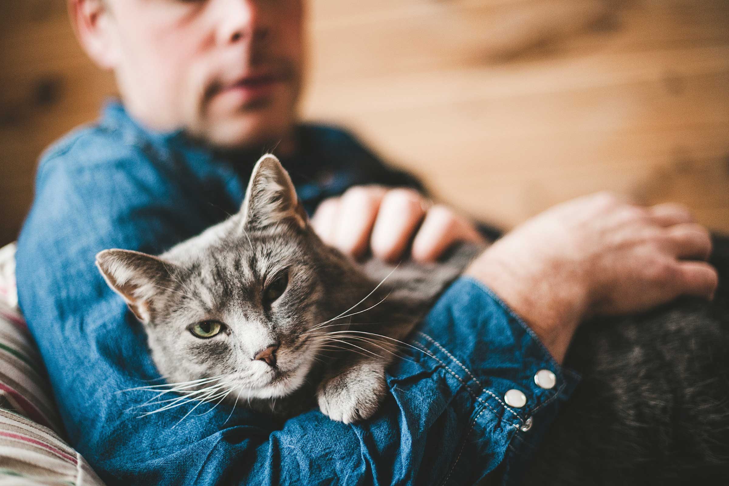 how your cats can make you money