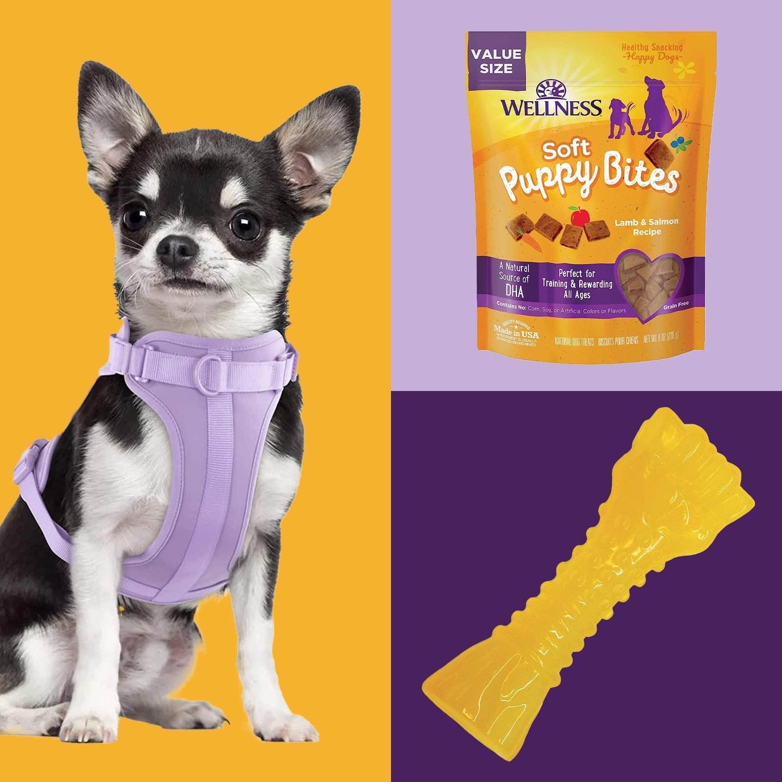 Recommended Puppy Products – The Puppy Family