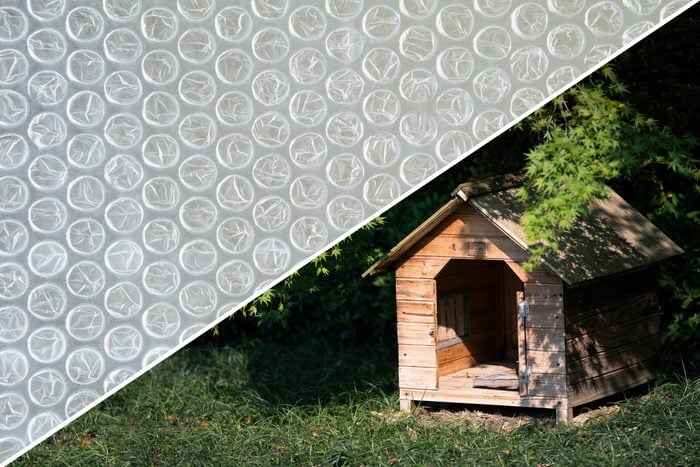 dog house bubble wrap