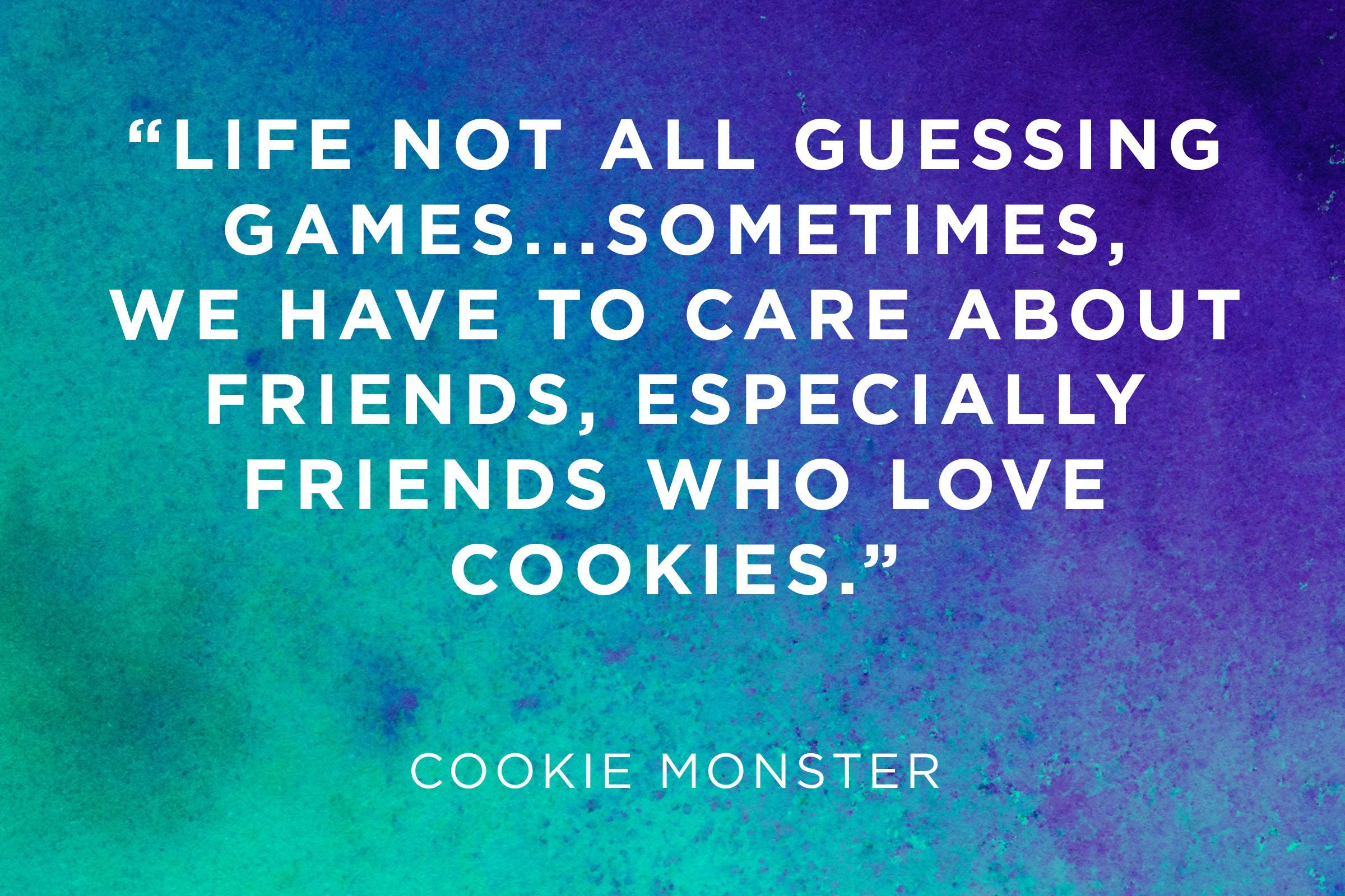 Cookie Monster The meaning of life is friendship