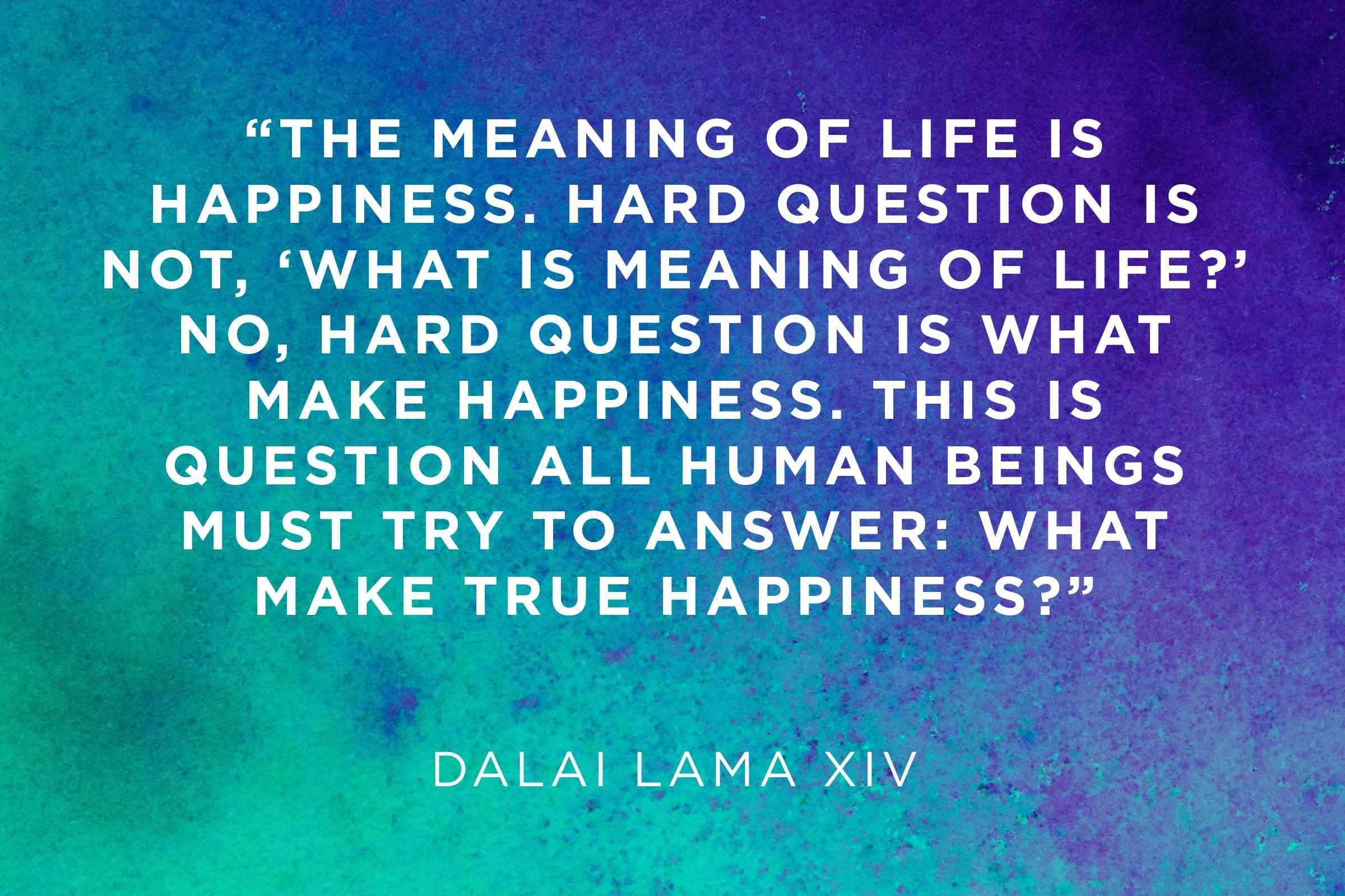 Dalai Lama The meaning of life is the wrong question