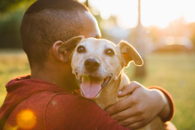 Benefits of Owning a Pet, According to Science | Reader's Digest