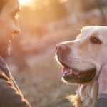 10 Incredible Benefits of Owning a Pet
