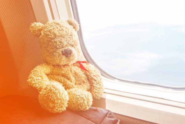 Teddy Bear Facts | Reader's Digest
