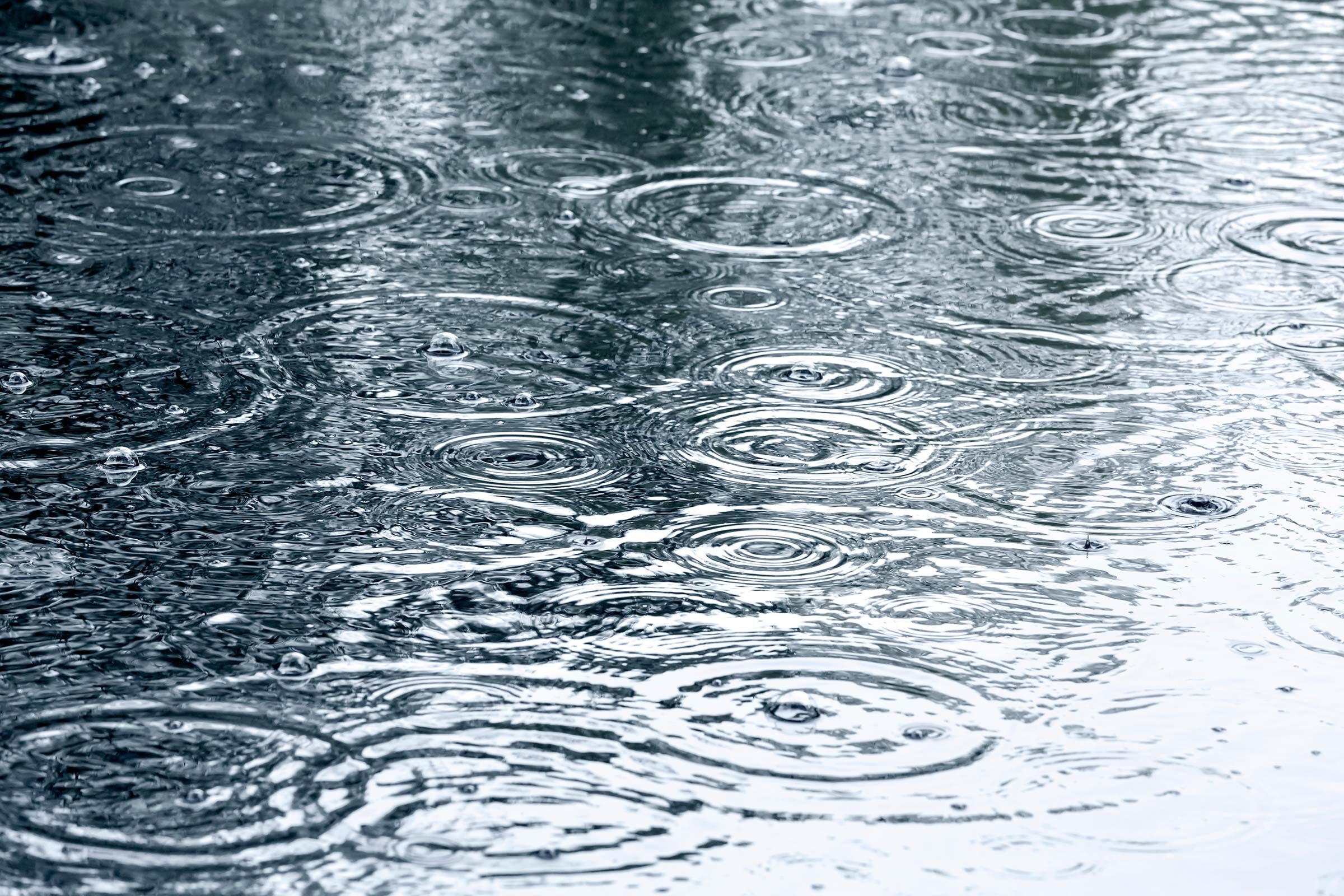 Facts You Never Knew About Rain | Reader's Digest