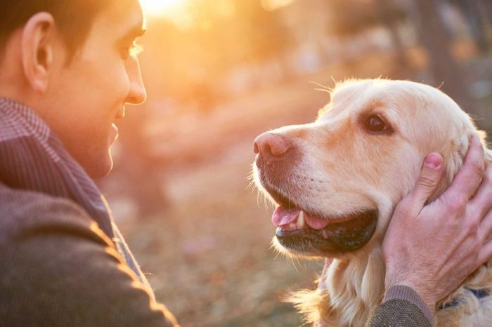 Sure Signs Your Dog Trusts You | Reader's Digest