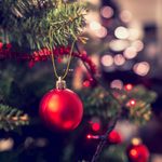 12 Secrets Your Christmas Tree Wishes You Knew