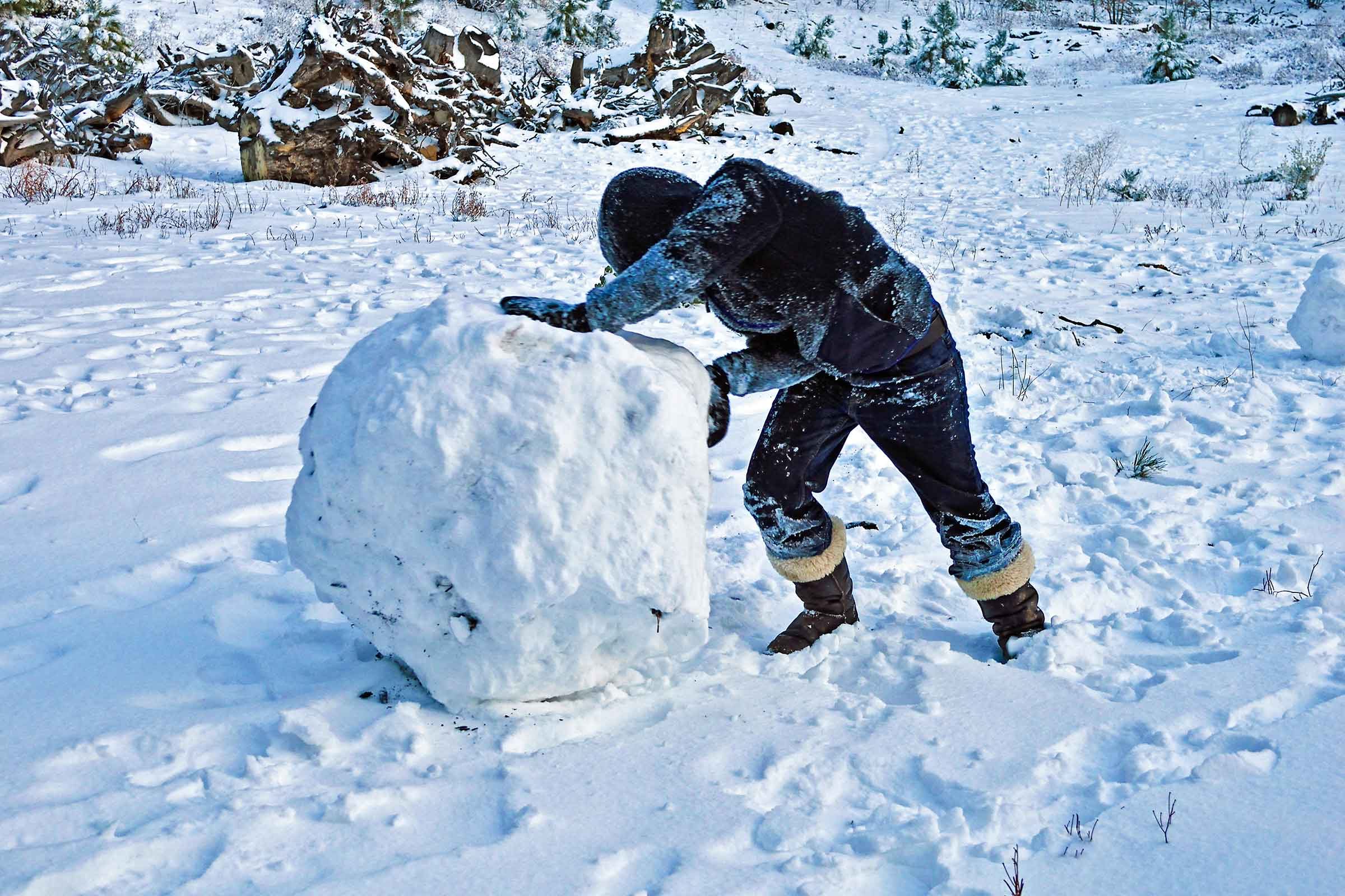 Do You Want to Build a Snowman?: Your Guide to Creating Exciting