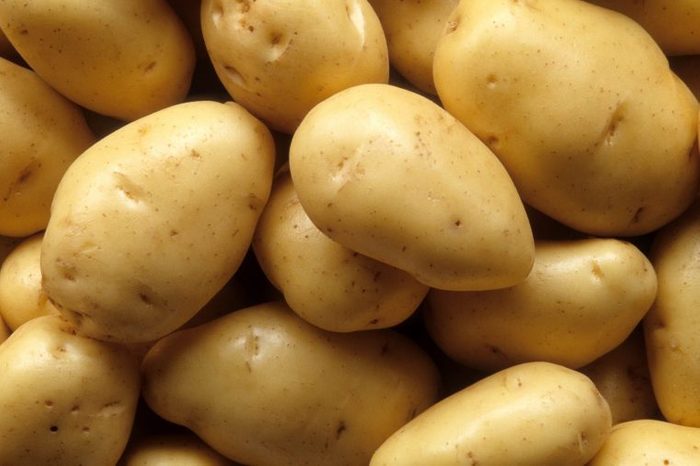 012_potatoes_foods_to_never_put_in_blender_