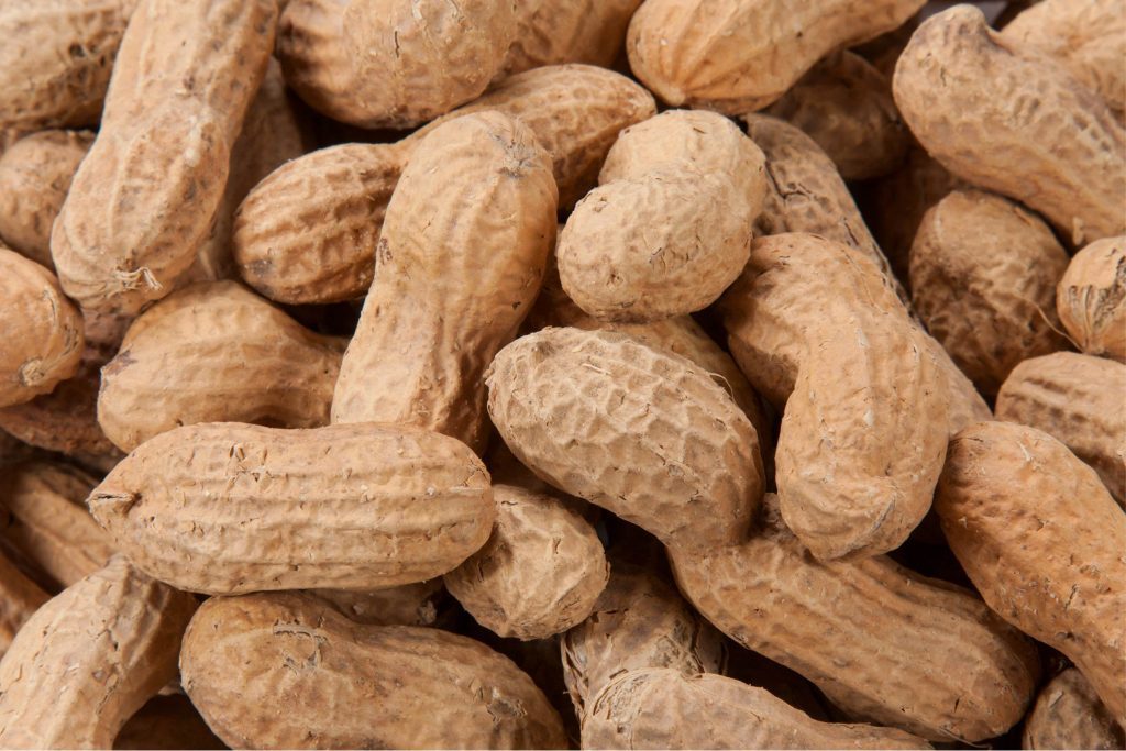 01_peanut_here_is_what_you_know_new_peanut_allergy_guidelines
