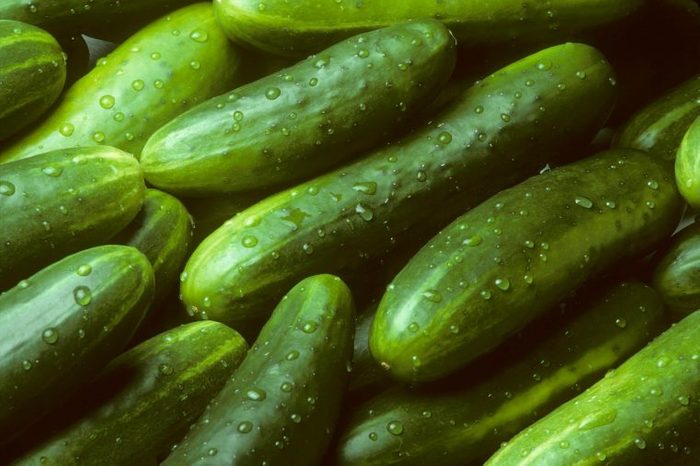 01_cucumber_fresh_foods_never_store_together