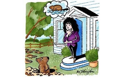 I-Could-Have-Sworn-I-Saw-A-Beaver-on-My-Lawn.-My-Neighbor-Proved-Me-Wrong