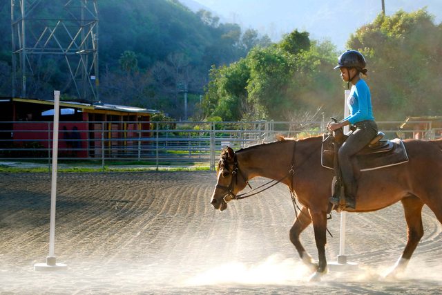 A-Farm-And-Ranch-Program-In-Los-Angeles-Is-Helping-Underserved-Teens-Gallop-Toward-Greatness