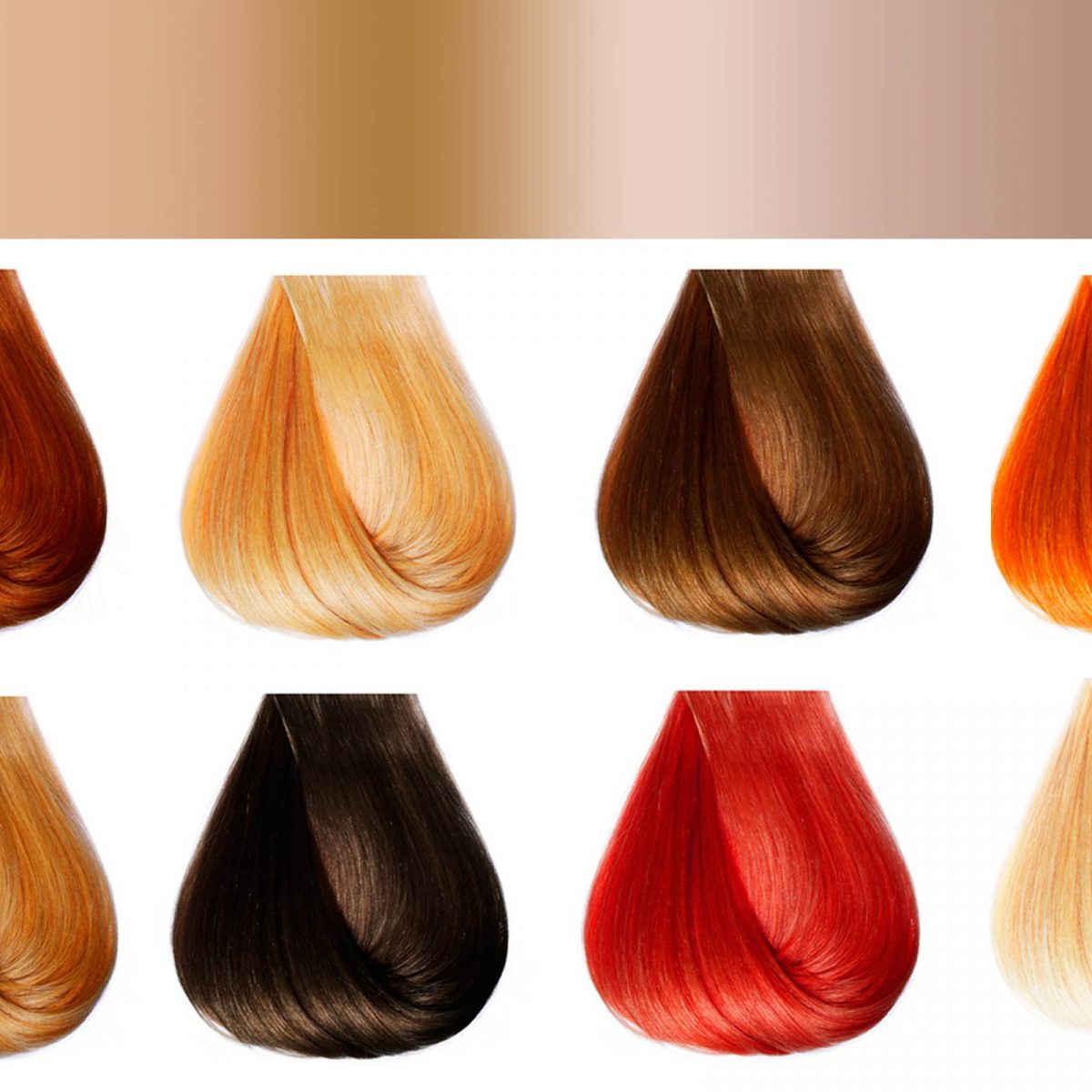 Overtone Color Chart