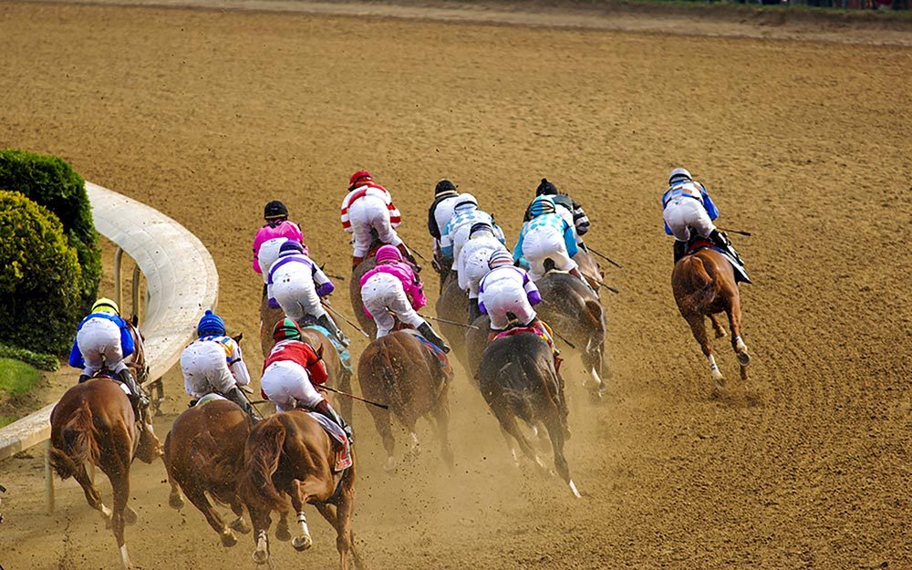 Kentucky Derby Facts You Never Knew Reader S Digest