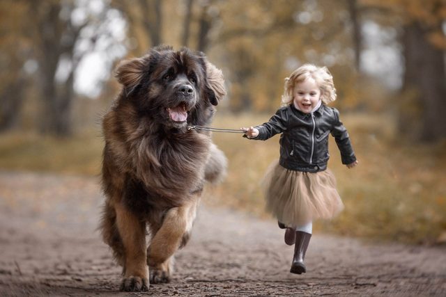 02_Little-Kids-and-Their-Big-Dogs-COVER-HI-RES