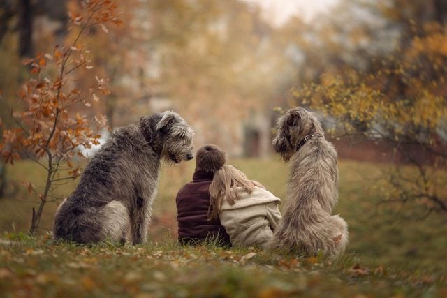 05_Little-Kids-and-Their-Big-Dogs-COVER-HI-RES