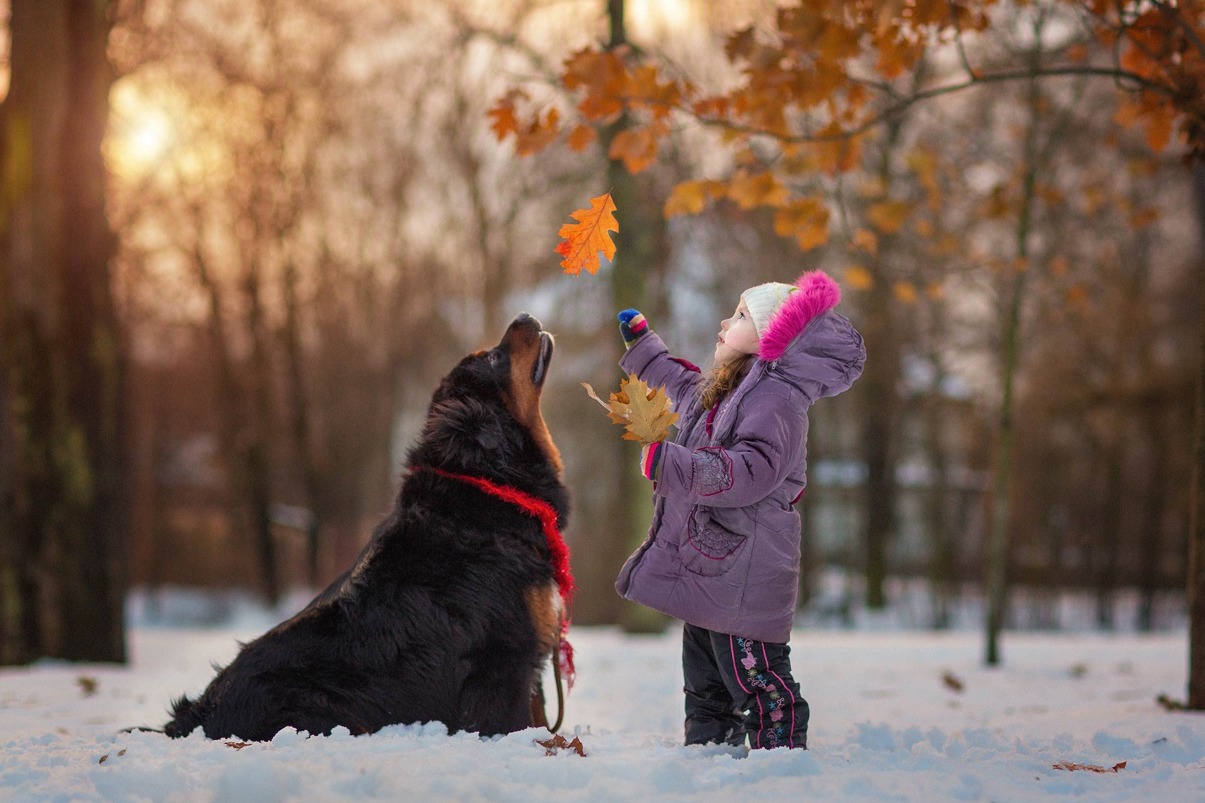 06_Little-Kids-and-Their-Big-Dogs-COVER-HI-RES