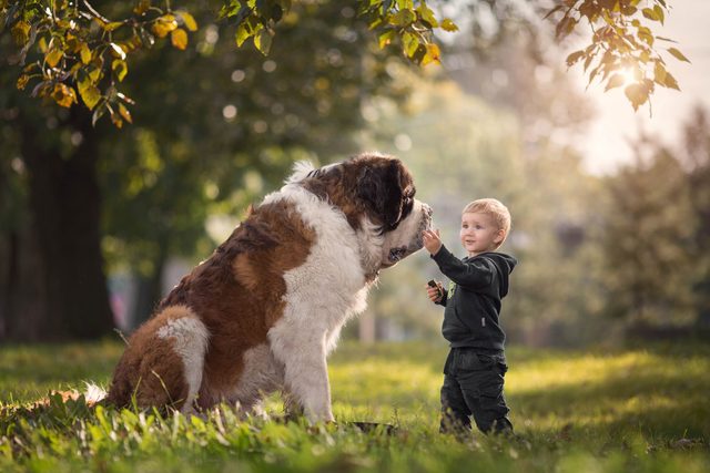 08_Little-Kids-and-Their-Big-Dogs-COVER-HI-RES