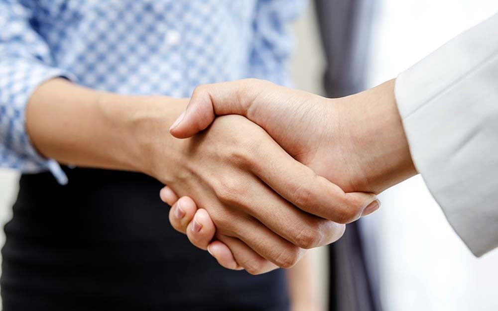 What Your Handshake Says About You
