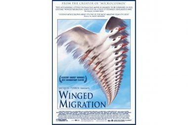 Winged-Migration